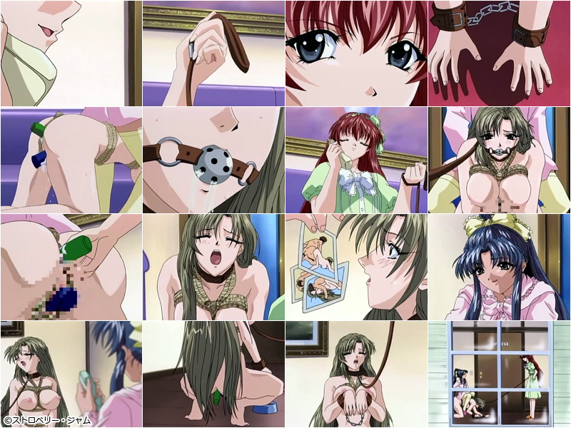 �y���J���� �`���C�h���`��` �Z�b�g�z�̃V�[��1