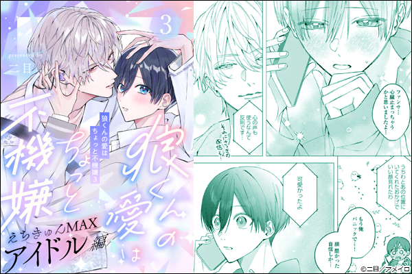 �T����̈��͂�����ƕs�@��3���A�C�h���҄�(3)