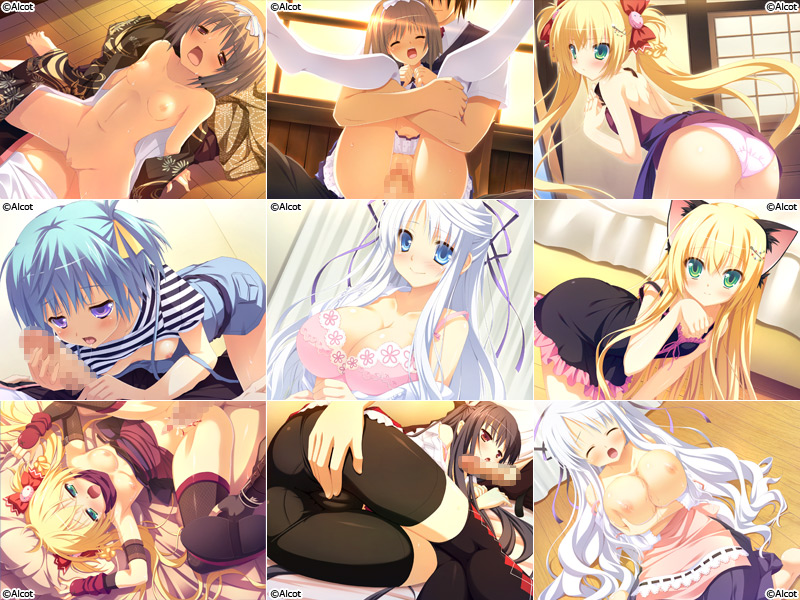 �y�S�������I�ʎ蔠�p�b�N�z�C�x���gCG01