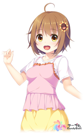 �摜2