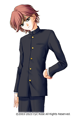�摜6