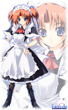 ���C�h�M����