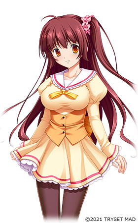 �摜1