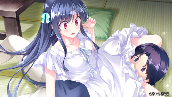 �C�x���gCG11