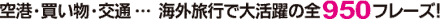 ��`�E�������E��ʁc�C�O���s�ő劈��̑V950�t���[�Y�I