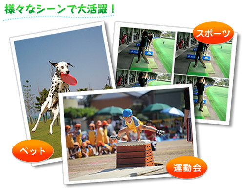 �l�X�ȃV�[���ő劈��I