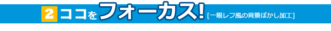 [2]�R�R���t�H�[�J�X�I[��჌�t���̔w�i�ڂ������H]