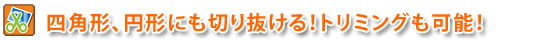 �l�p�`�A�~�`�̐؂蔲���ɂ��Ή�