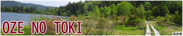 [���i��]OZENOTOKI